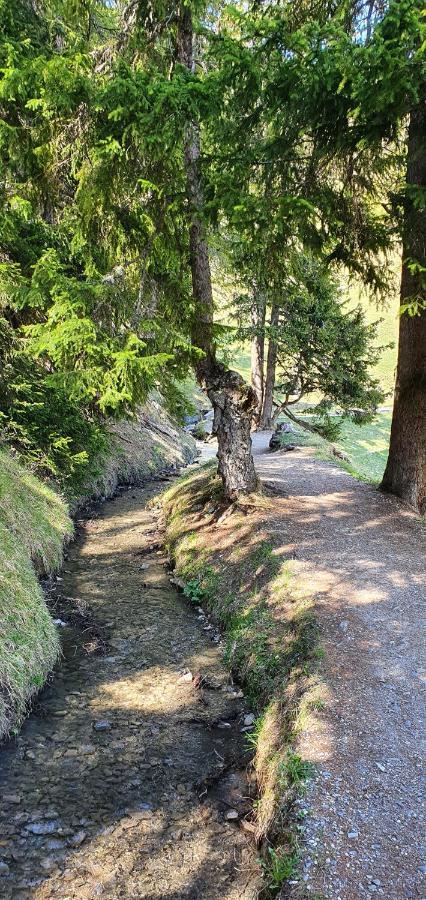 Un Moment De Detente Inoubliable Saillon-Les-Bain Екстер'єр фото