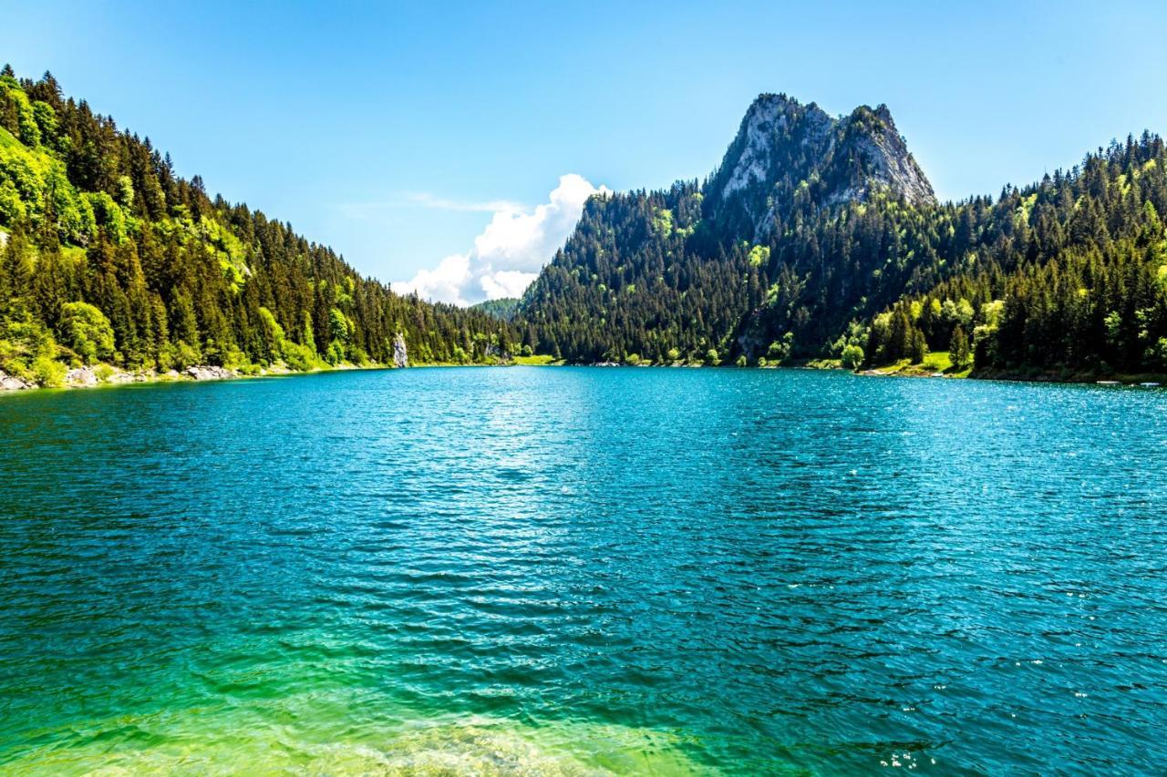 Un Moment De Detente Inoubliable Saillon-Les-Bain Екстер'єр фото